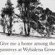 Give me a home among the gumtrees at Wybalena Grove